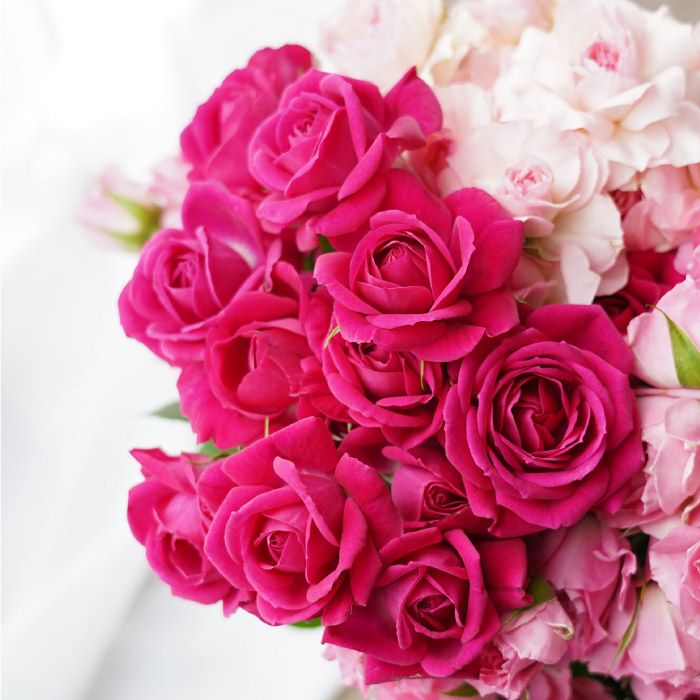 ネイルオイル NOBLE ROSEノーブルローズ