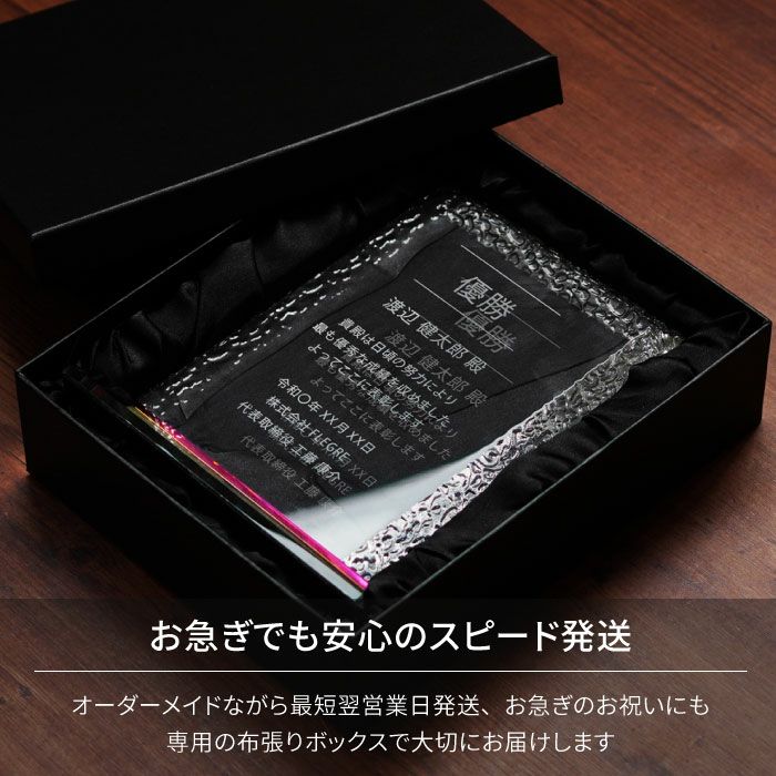 メッセージ彫刻クリスタルガラス 表彰盾 スクエア Lサイズ