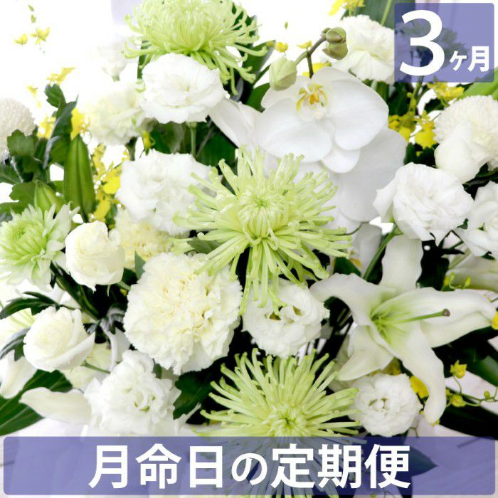 お花の定期便(月命日) 虹コース3ヶ月