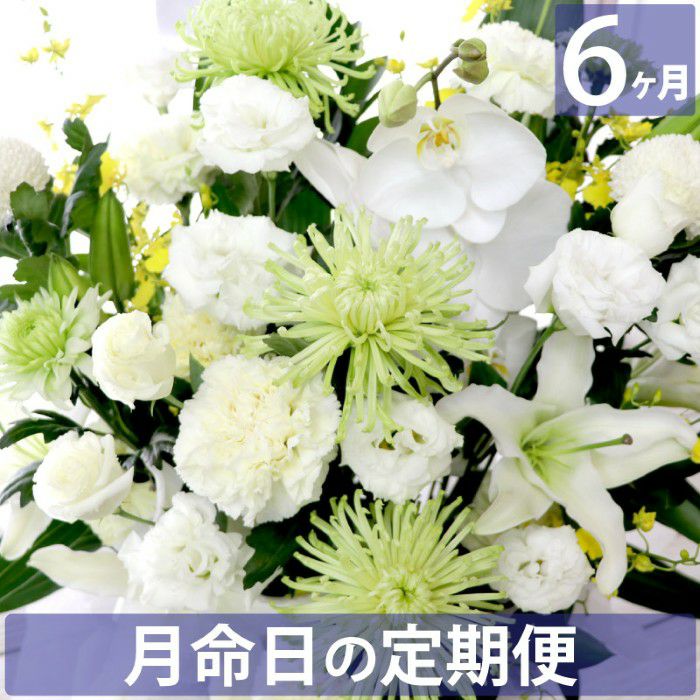 お花の定期便(月命日) 虹コース6ヶ月