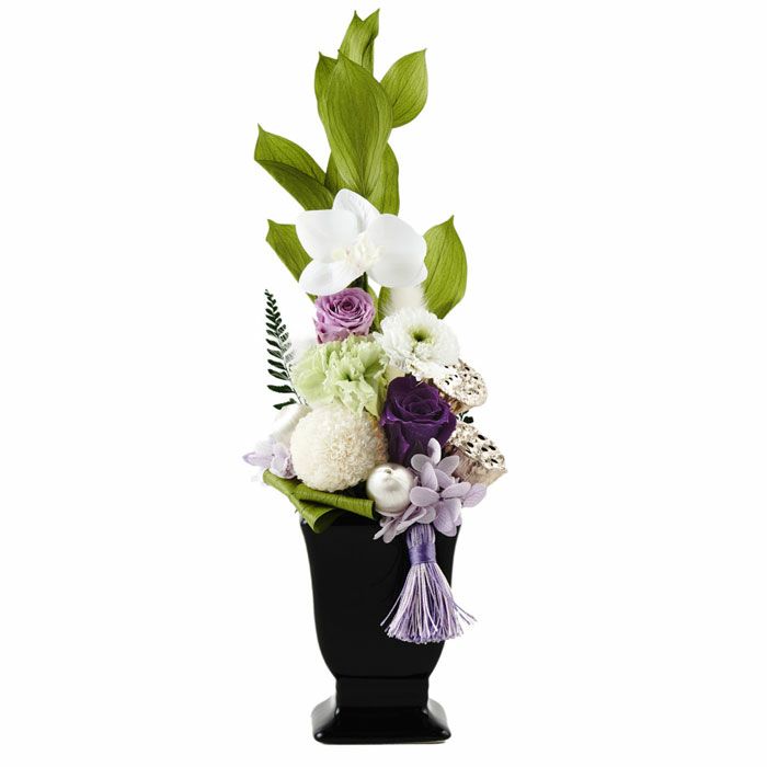 パープルセット