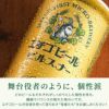 エチゴビール飲み比べ18本セット