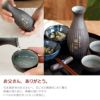 鉄灰とっくり3点セット