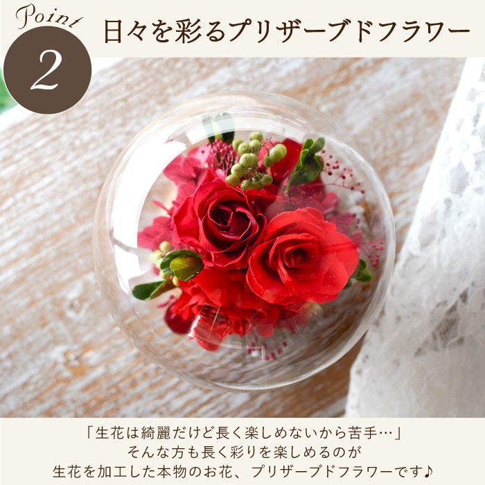『彩りバブルドーム』 プリザーブドフラワー
