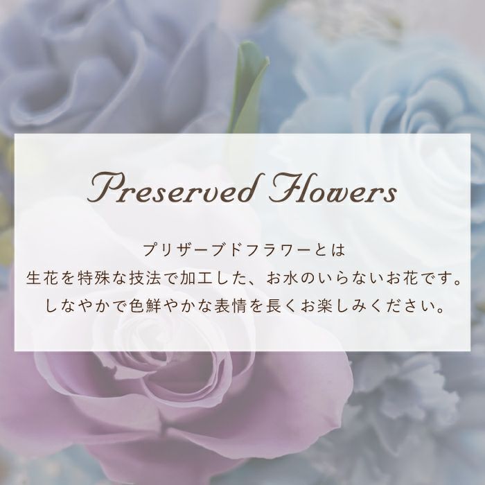 『彩りバブルドーム』 プリザーブドフラワー