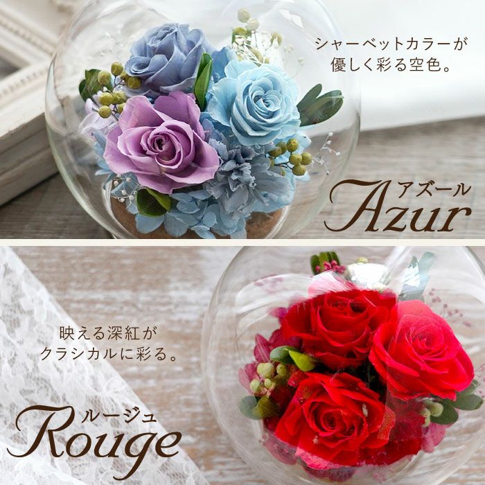 『彩りバブルドーム』 プリザーブドフラワー