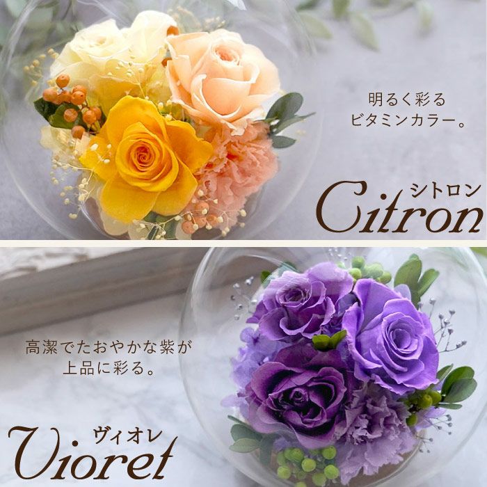 『彩りバブルドーム』 プリザーブドフラワー