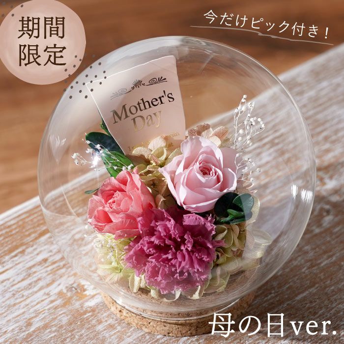 『彩りバブルドーム』 プリザーブドフラワー