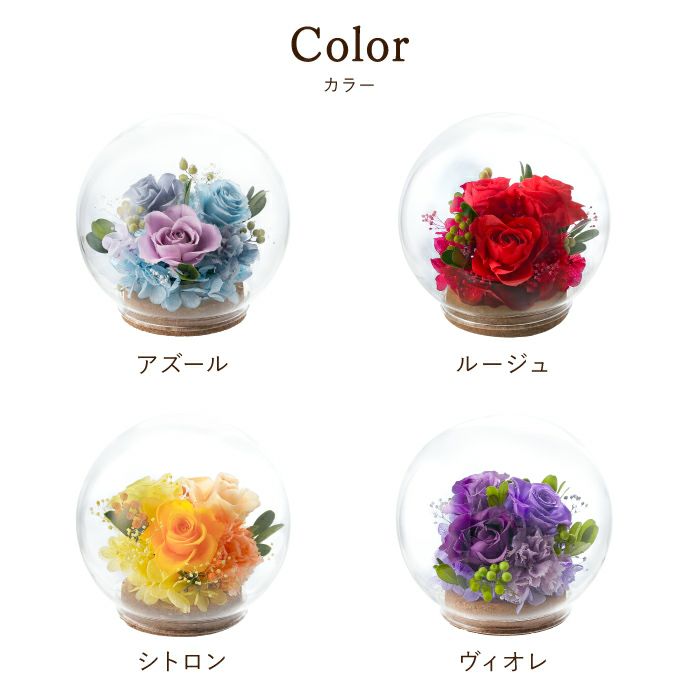 『彩りバブルドーム』 プリザーブドフラワー