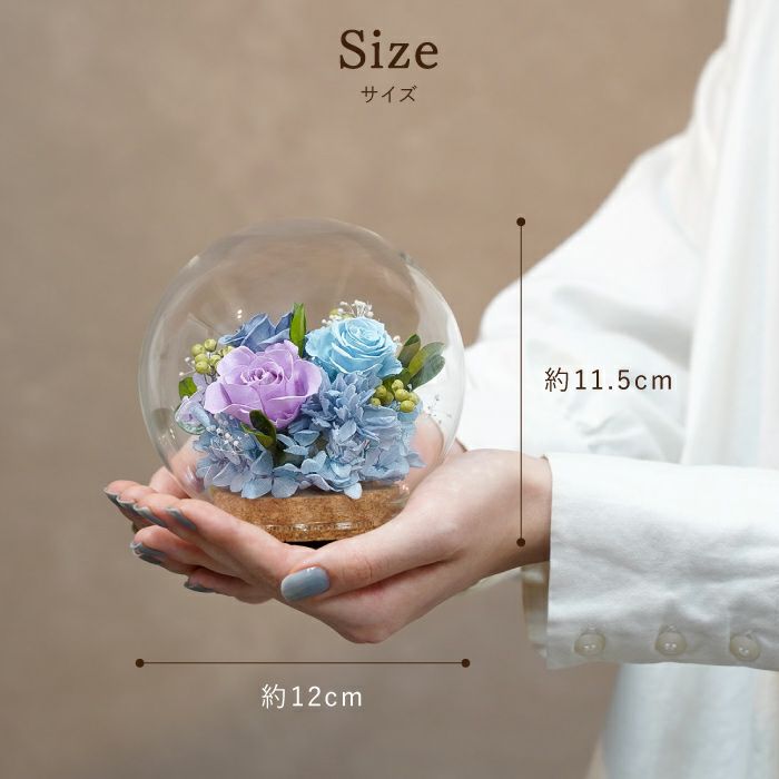 『彩りバブルドーム』 プリザーブドフラワー