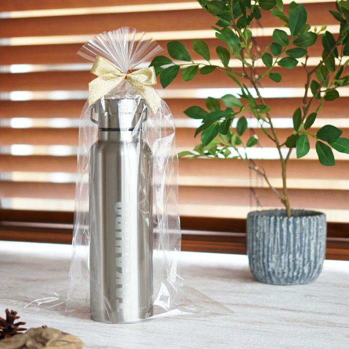 ステンレスマグボトル 500ml