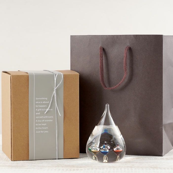 ガリレオ温度計Sサイズ