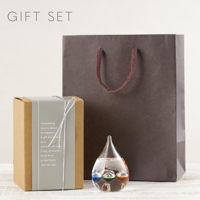 ガリレオ温度計 SSサイズ