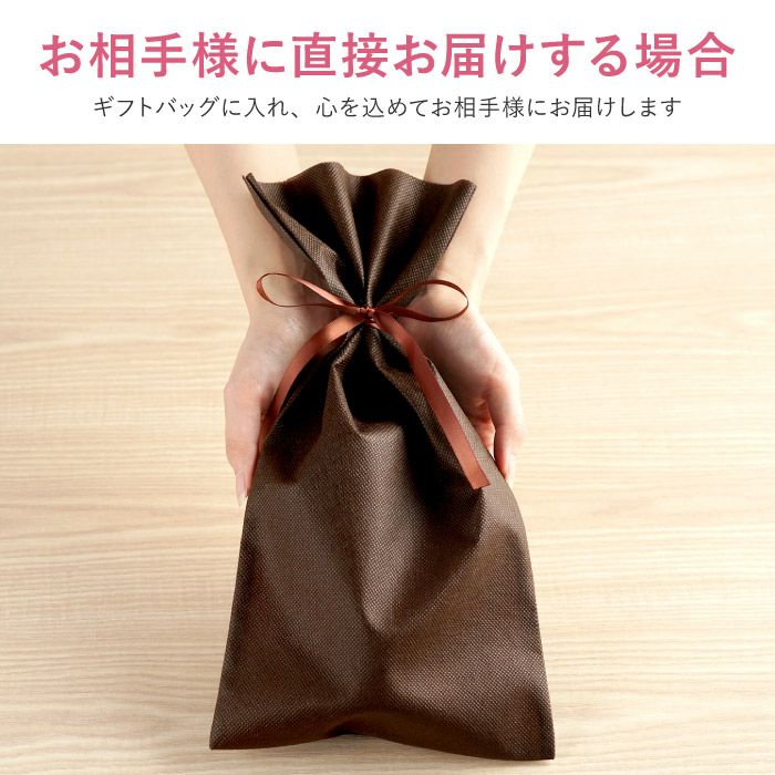 シャープペンシル0.5mm PILOT COCOON（パイロットコクーン）