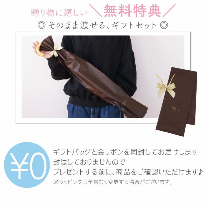 レディース 雨傘