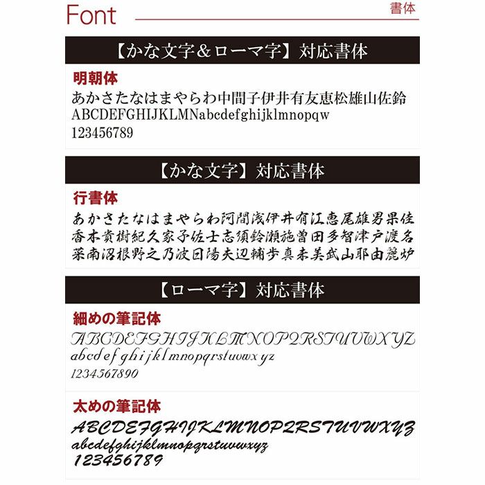 WATERMAN ExpertEssential エキスパートエッセンシャルマットブラックCT