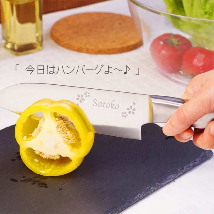 オールステンレス三徳包丁