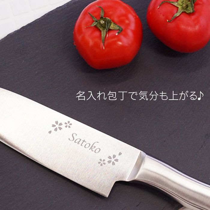 オールステンレス三徳包丁