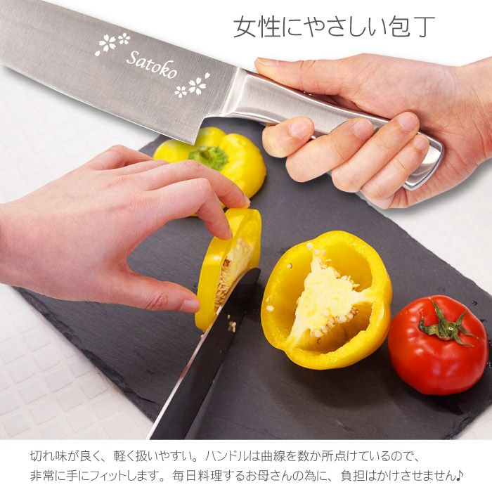 オールステンレス三徳包丁