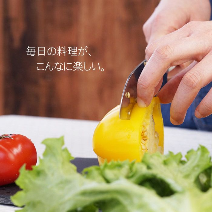 オールステンレス三徳包丁