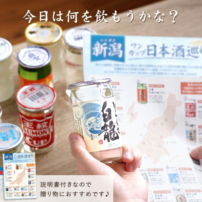新潟県産 日本酒 ワンカップ 飲み比べ 15本セット