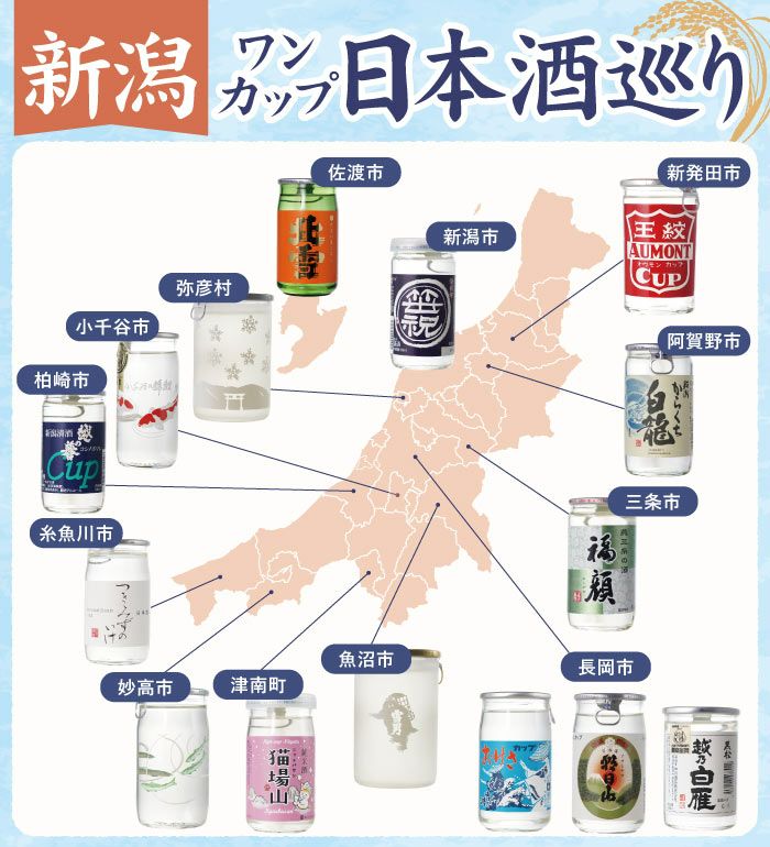新潟県産 日本酒 ワンカップ 飲み比べ 15本セット
