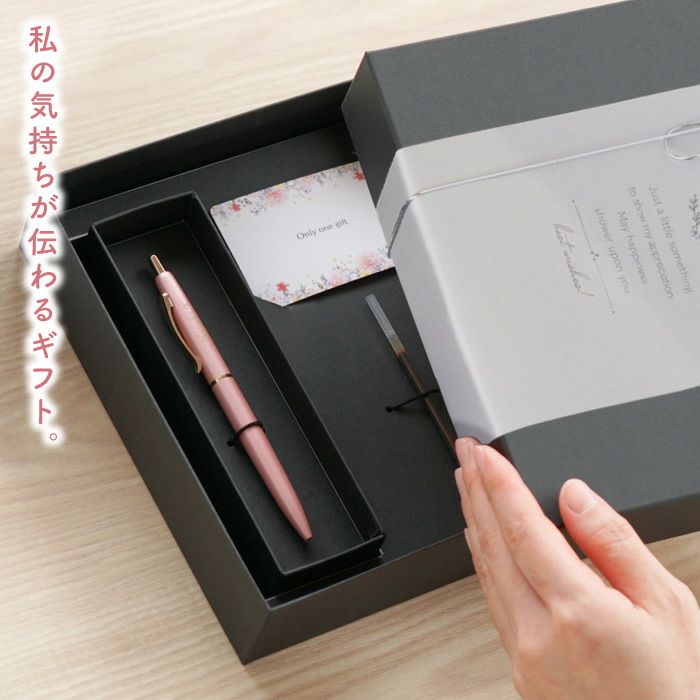 ボールペン フィラーレ ef ギフトセット