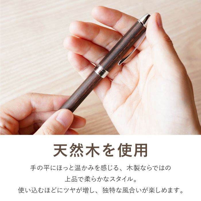 PILOT（パイロット）ツープラスワンレグノ複合ペン 全5色