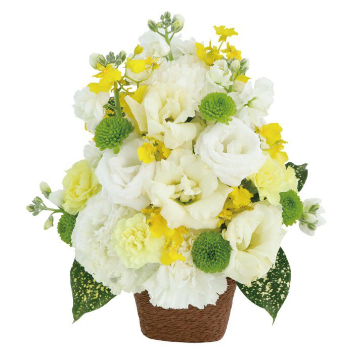 白＆クリーム系