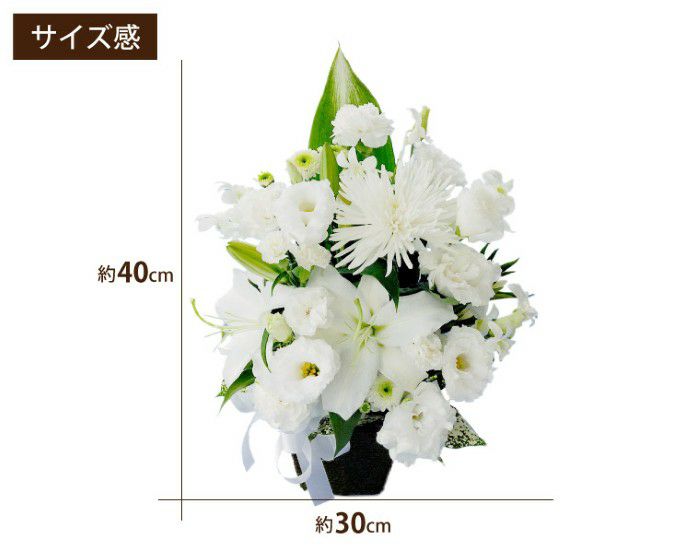 選べる アレンジ or 花束・AB