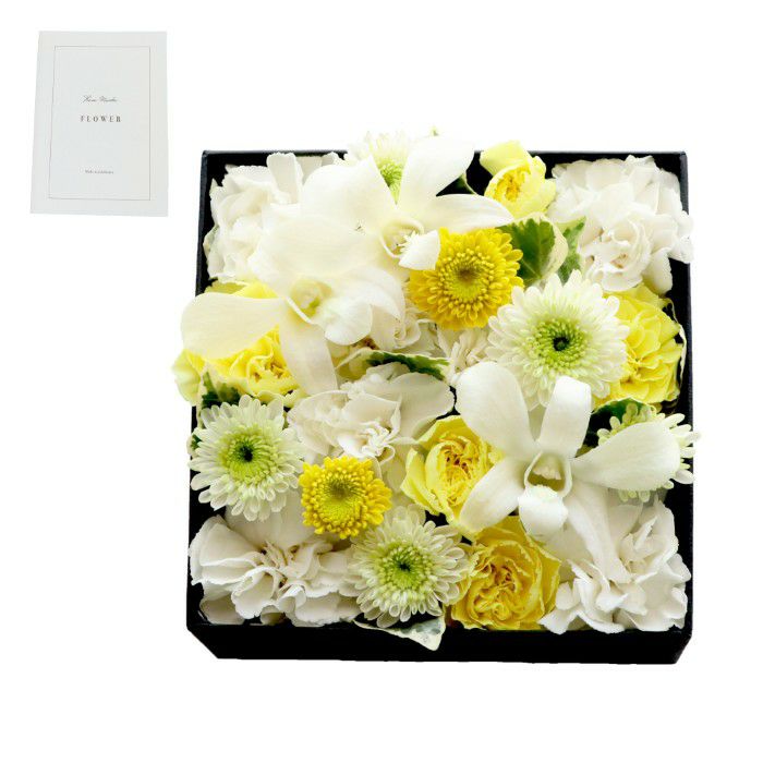 白＆クリーム系