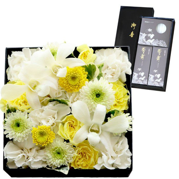 白＆クリーム系