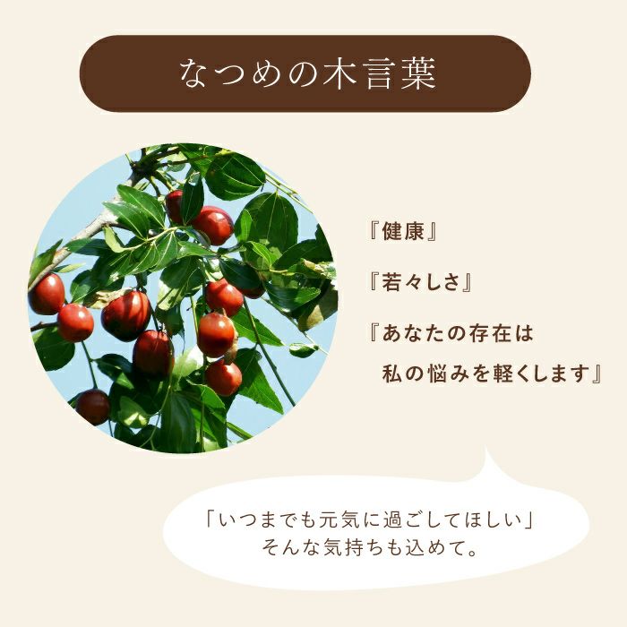 なつめのペアロックカップ