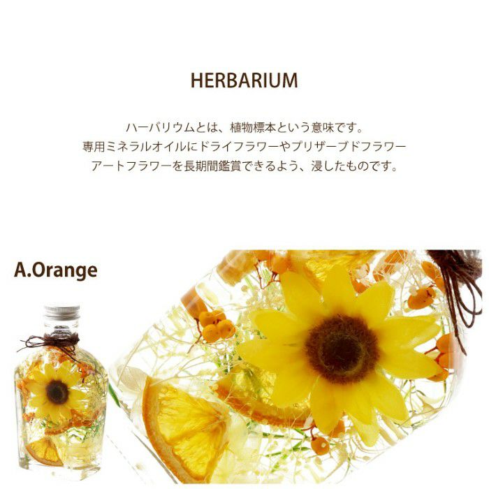 ひまわり ハーバリウム